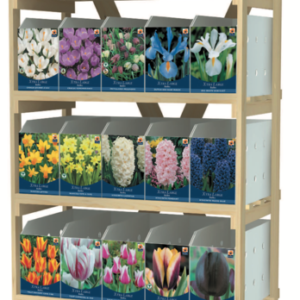 Extra Large Bulbs