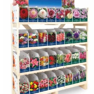 Extra Large Summer Bulbs - Assorted types available