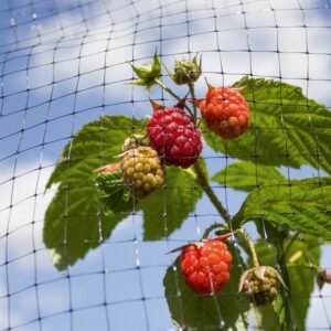 Fruit Cage Net - 16 x 2m