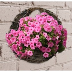Willow Wall Basket - 16"