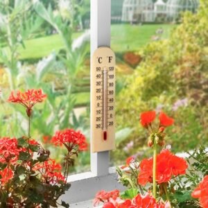 Wooden Thermometer
