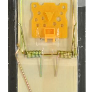 Wooden Rat Trap
