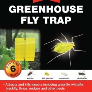 Greenhouse Fly Trap