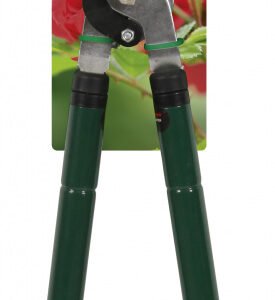 Telescopic Lopper