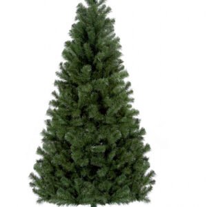Douglas Fir Tree