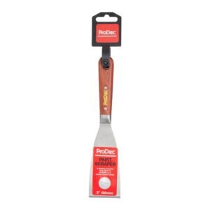 Paint Scraper