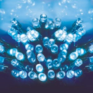 Multi Action Battery Operated TIMELIGHTSâ„¢ - 50 LED Blue/ Green Cable