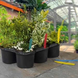 Plant Labels