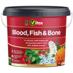 Blood Fish & Bone
