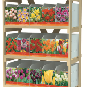 The Tulip Collection