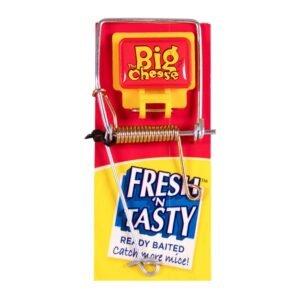 Fresh Baited Mouse Trap Single