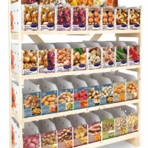Onions Food Collection