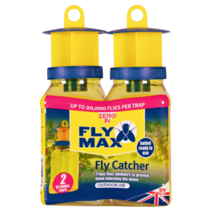 Fly Catcher