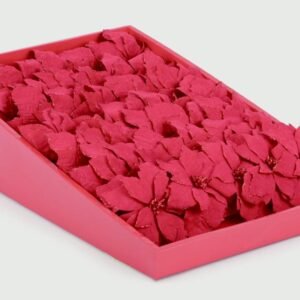 Poinsettia Clip