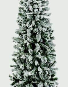 Flocked Spruce Pine - 2m