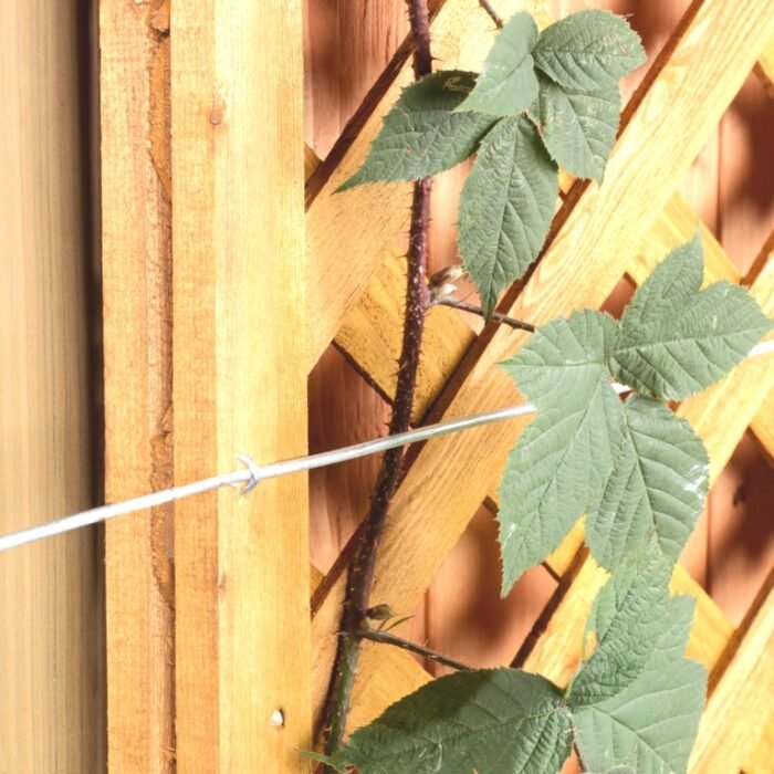 368694_20160107165521_1024.jpg 368694_20160107165521_1024.jpg