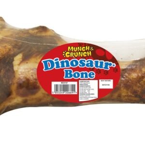 Dinosaur Bone