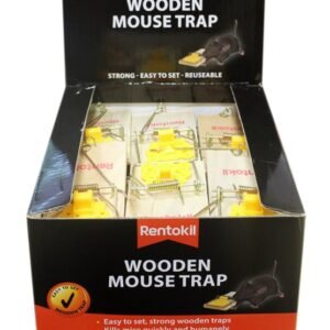 Wooden Mouse Trap