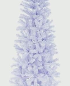 Spruce Pine White - 2m