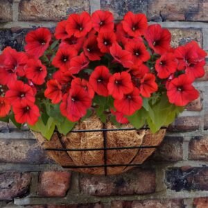 Wire Wall Basket