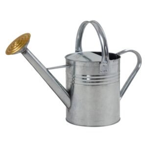 Galvanised Watering Can - 1 Gallon