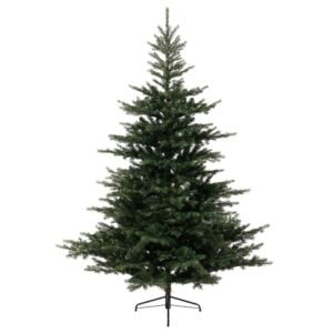 Grandis Green Fir Tree
