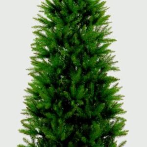 Slim California Tree - 1.8m
