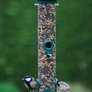 Easy Clean Seed Feeder - Medium