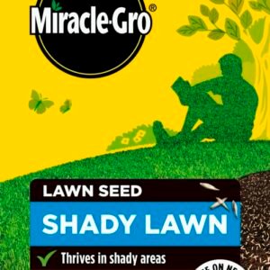 Shady Lawn Seed