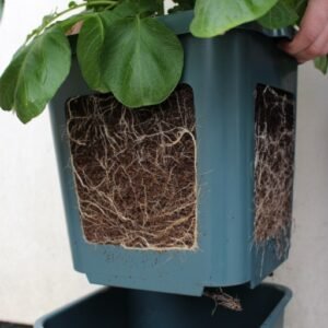 Potato Pot