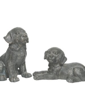 Poly Magnesium Dog