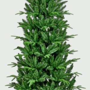 Slim Aspen Fir