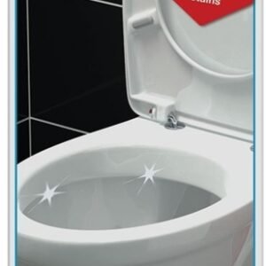 Toilet Renovation Kit - 500ml