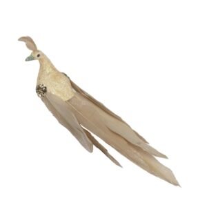 Feather Peacock - 19cm Champagne