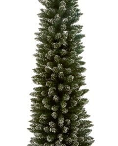 Pencil Pine Snow Tipped - 2m