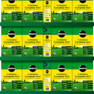Evergreen Complete 4 in 1