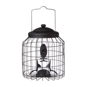 Heavy Duty Black Squirrel Proof Feeder