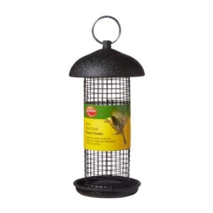 Black Steel Feeder