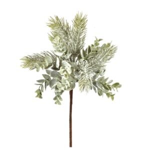 Eucalyptus Pick - 30cm