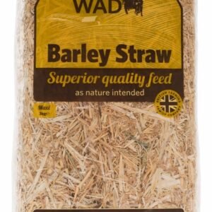 Maxi Barley Straw