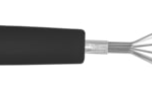 Stainless Steel Mini Egg Whisk
