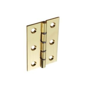Polished D.S.W. Brass Hinges