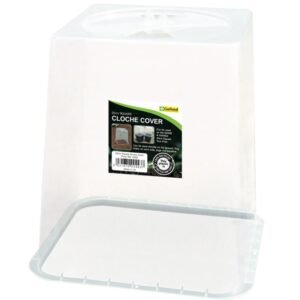 Square Cloche Cover 25cm