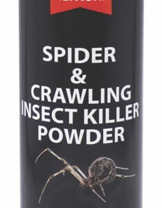 Spider Crawling Insect Powder