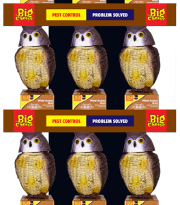 Wind Action Owl