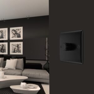 Single/Double Dimmer Switch