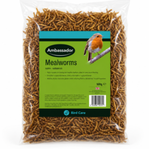 Mealworms - 500g