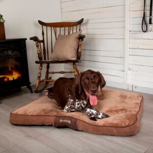 Chester Mattress Medium - 60 x 50cm