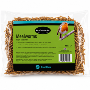 Mealworms - 100g