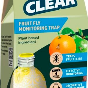 Fruit Fly Trap